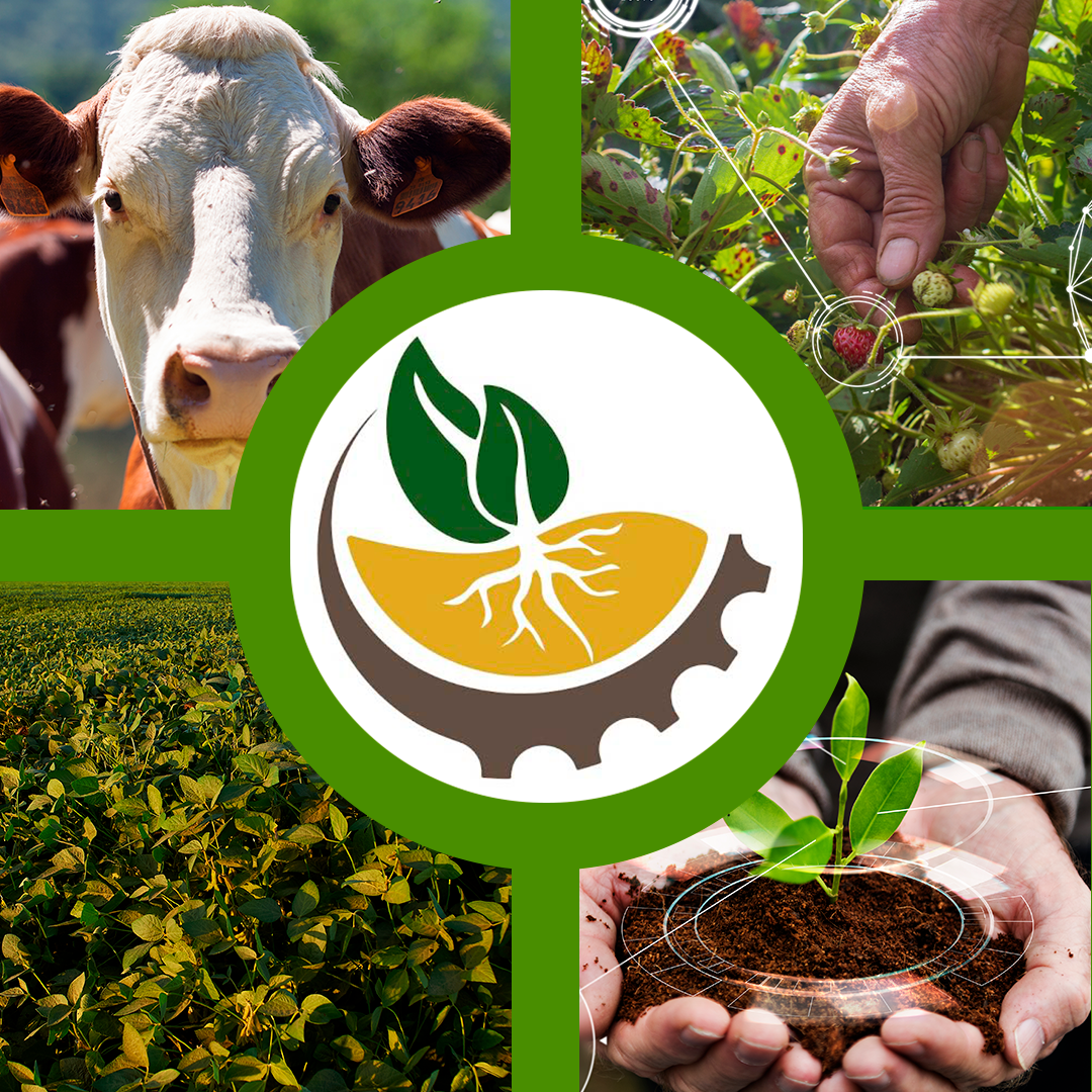 Pbf Agrotech Tecnologias para O Agronegocio Inova Simples (i.s.)